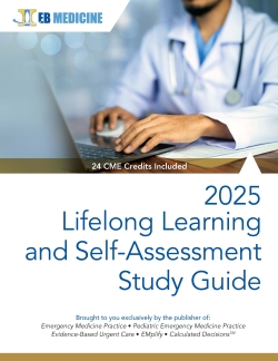 LLSA 2025 Cover