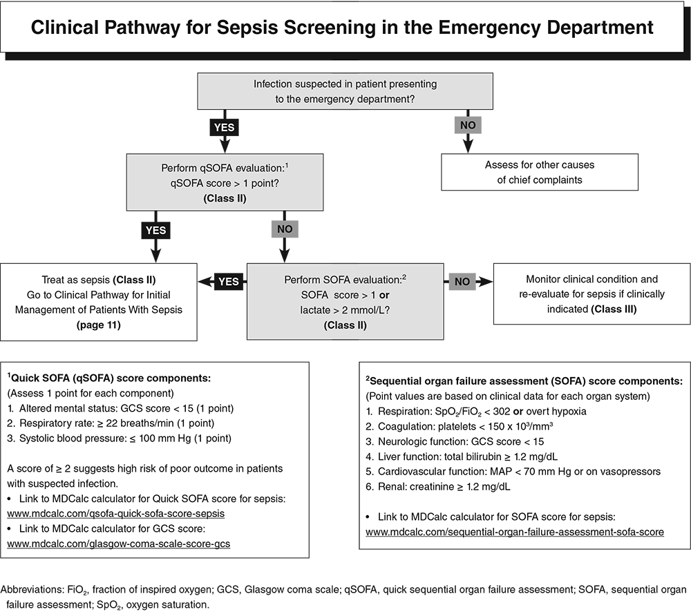 Sepsis Sepsis Shock qSOFA Sofa Score Lactate Intravenous Fluids