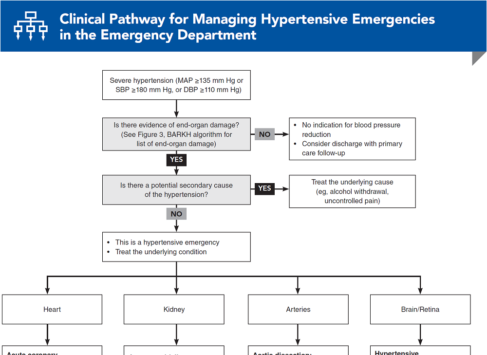 Hypertension Emergency Nhs Hypertension Emergency Nhs