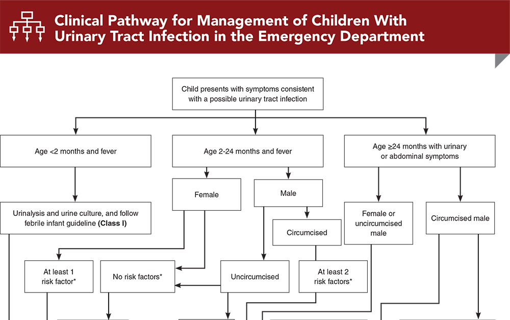 Clinical Pathway for Management of Children With Urinary Tract Infection in the Emergency Department