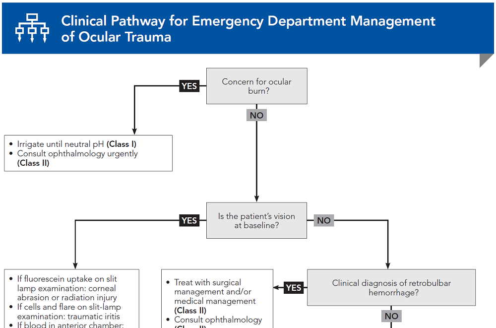 Clinical Pathway for Emergency Department Management of Ocular Trauma