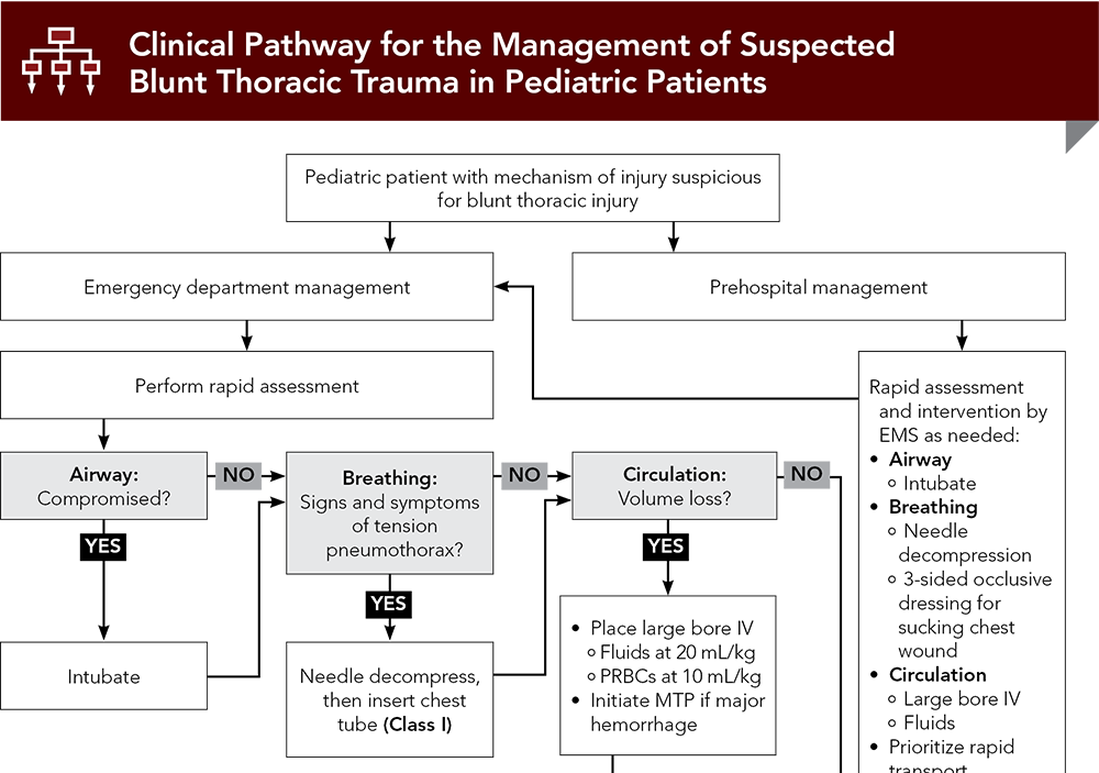 Clinical Pathway for the Management of Suspected Blunt Thoracic Trauma in Pediatric Patients