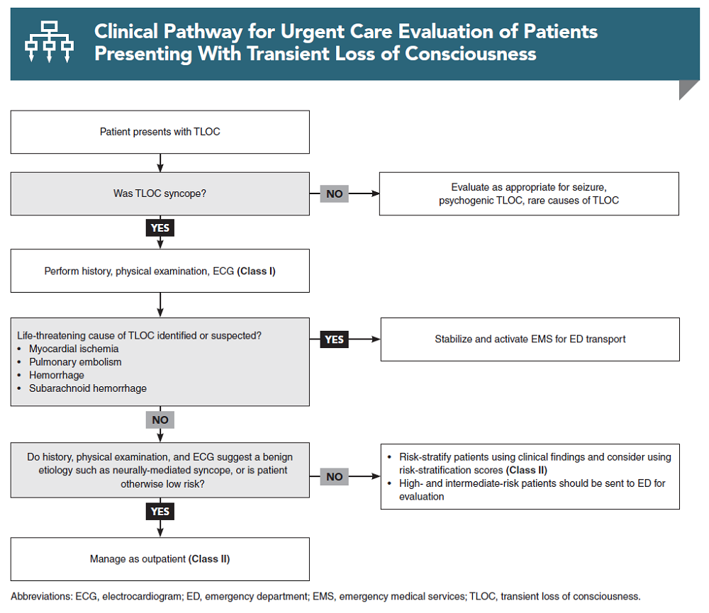 Clinical Pathway for Urgent Care Evaluation of Patients Presenting With Transient Loss of Consciousness