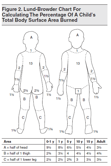 Therapeutic Uses Of Hypertonic Saline In The Critically ... bsa body diagram 